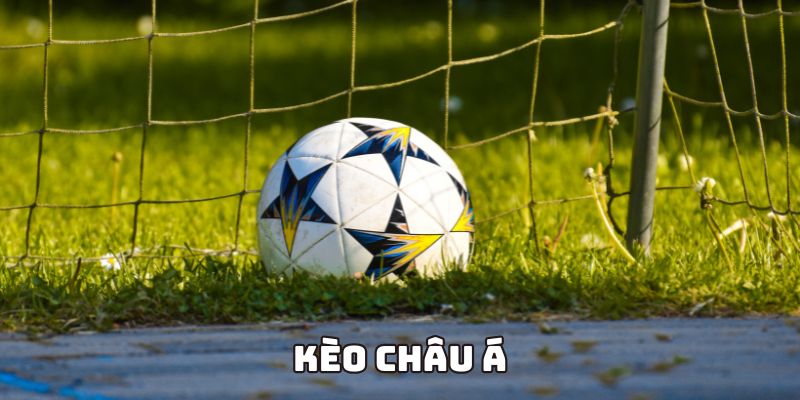 Giới thiệu cách đọc kèo châu Á chuẩn nhất